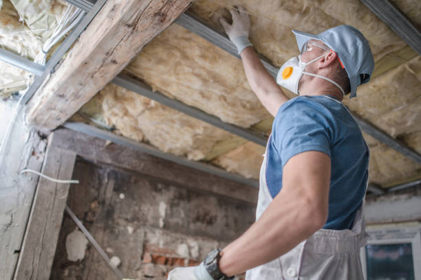 Best Cellulose Insulation in Eaton Estates, OH