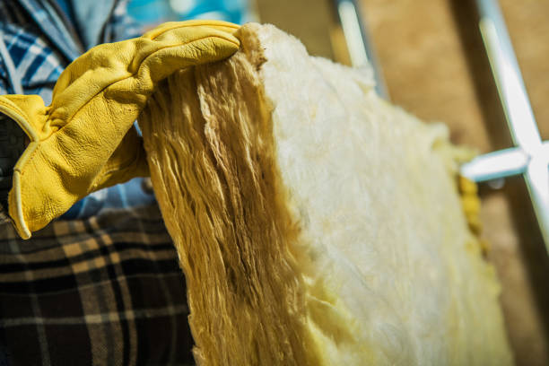 Best Eco-Friendly Insulation in Eaton Estates, OH