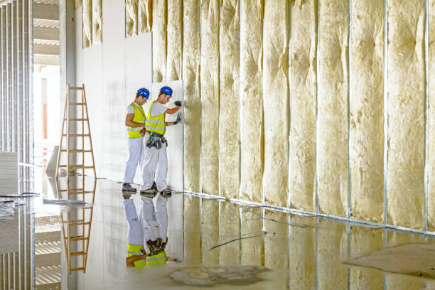Best Fiberglass Insulation in Eaton Estates, OH